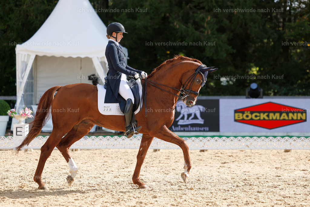 09_2-223-DRESSUR  S_  -StoibPH-5788 | working equitationturnier fotograf videograf stoibphotography marixx film working equitation deutschland reitsport turnierfotografie eventfotografie equestrian events