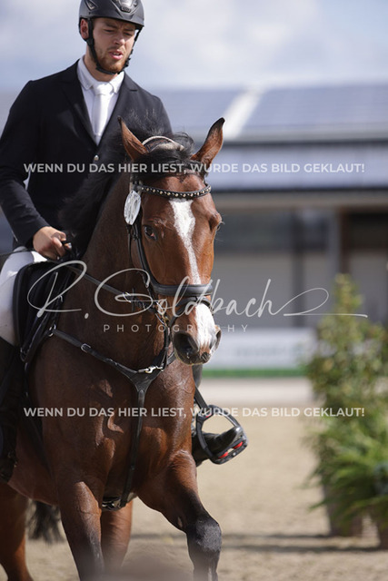 1J2A4287Melvin Henze_ Miss Colman 2_ Kn739_ Havekost | Foto- und Videografie für alles rund ums Pferd. Hochwertige Bilder und Videos vom Spring- und Dressurreiten, Voltigieren & mehr. Jetzt aktuelle Veranstaltungen und Preise im Shop ansehen. - Realisiert mit Pictrs.com