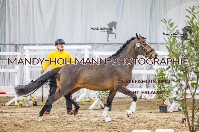 29 (14 von 45) | mandyhollmannphotographie