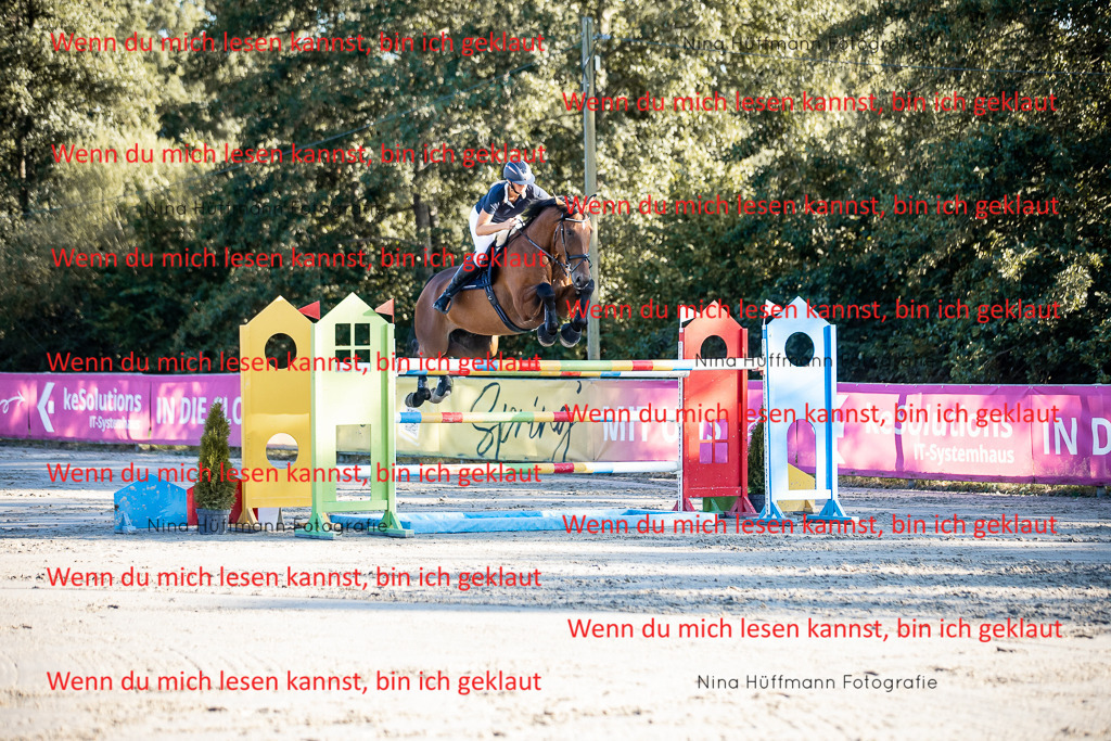 BK1A8771 | Turnierbilder Turnierfotos Nina Hüffmann Turnierfotografie Pferdefotografie Tierzeichnung Haustierzeichnung Pferdezeichnung Hundezeichnung Videograf  - Realisiert mit Pictrs.com