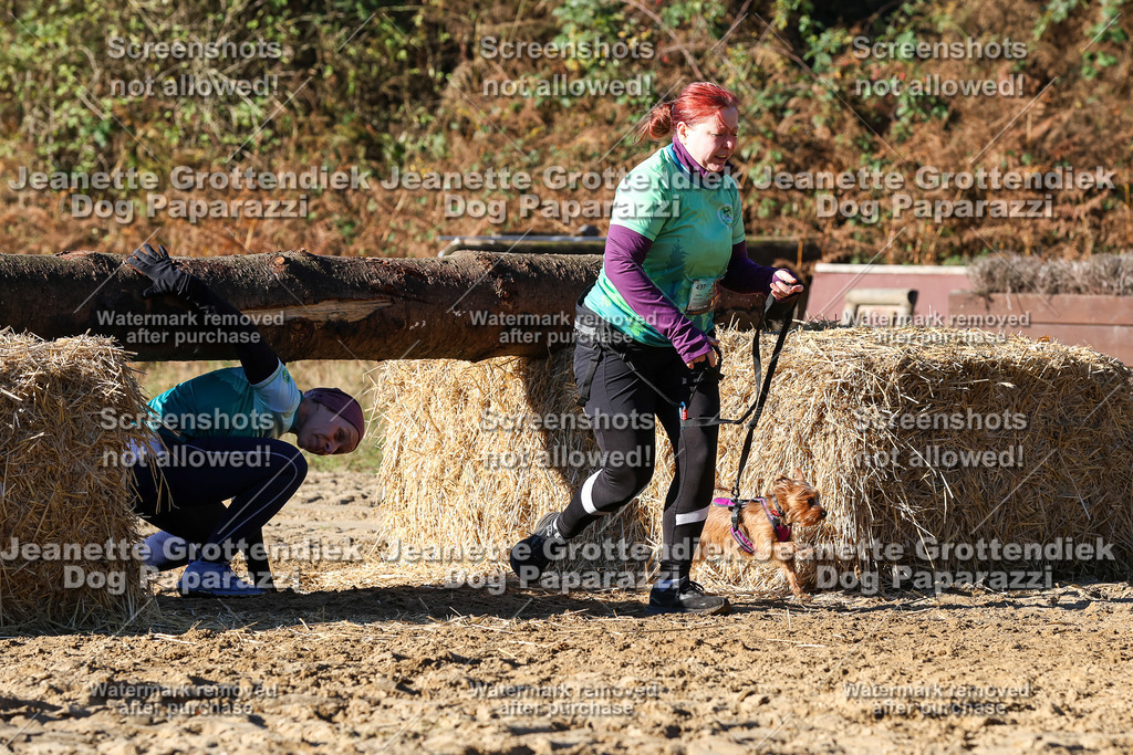 Dog Paparazzi - Strongdog 10-25-1817 | Dog Paparazzi Jeanette Grottendiek Fotografie & Videografie - Realisiert mit Pictrs.com
