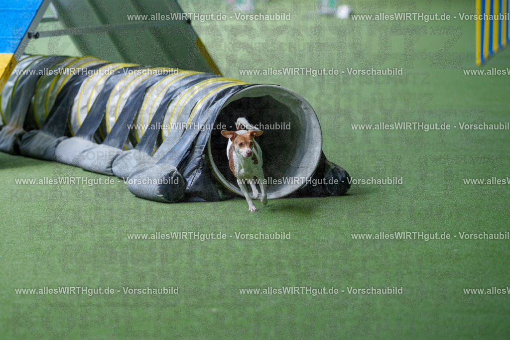 @allesWIRTHgut_Tierfotografie - www.allesWIRTHgut.de - 2604251254-7R503026 | Professionelle Tierfotografie in Mönchengladbach von Daniel Wirth (allesWIRTHgut). Liebevolle & natürliche Bilder von Hunden & Katzen für unvergessliche Erinnerungen.