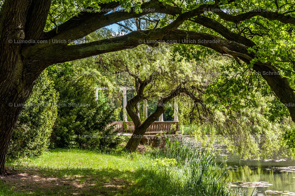 10049-1623 - Stadtpark Tangerhütte | Stockfoto und Bilderpool mit Bildmaterial aus Deutschland, dem Harz, Halberstadt, Quedlinburg, Wernigerode und weltweit. Qualitativ hochwertige und professionelle Fotos anschauen und kaufen. - Realisiert mit Pictrs.com
