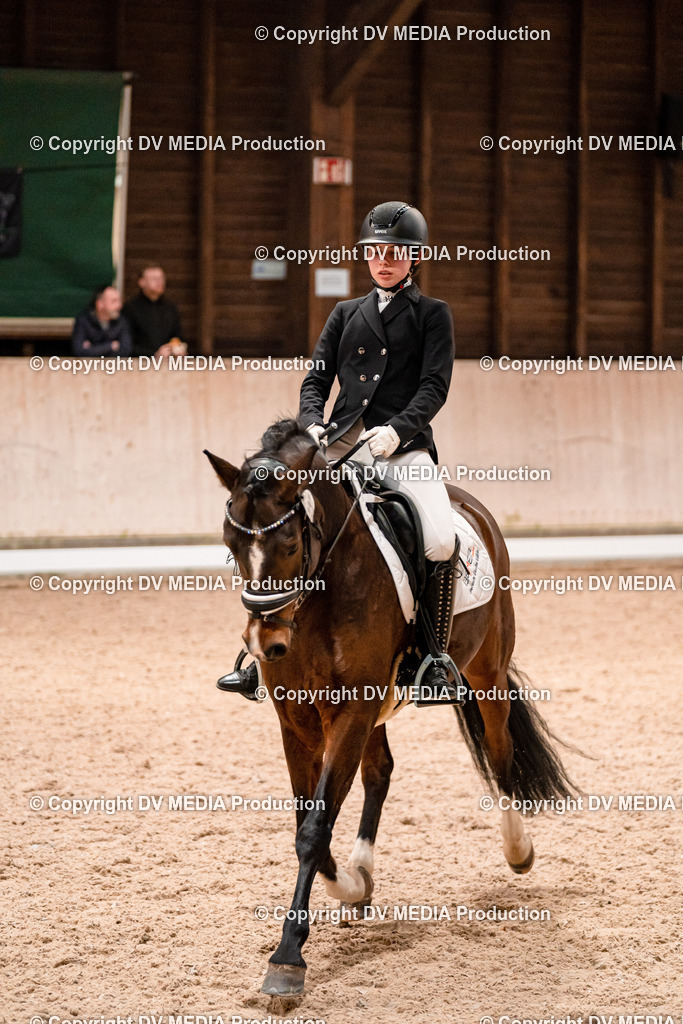 Dressur Tag 1 -347 | dv-media-shop - Realisiert mit Pictrs.com