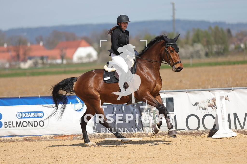 0P6A0379 | Willkommen bei Brunnmayr - Design & Fotografie – Ihrem Spezialisten für Reitturniere und Pferdeveranstaltungen in Oberösterreich, Salzburg und Bayern! Seit über 17 Jahren sind wir leidenschaftlich dabei.