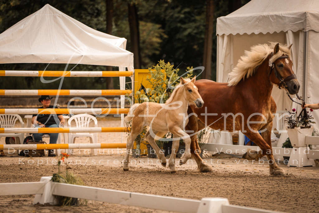 SaSF00020 | Leoni Ertmer Photography - Realisiert mit Pictrs.com