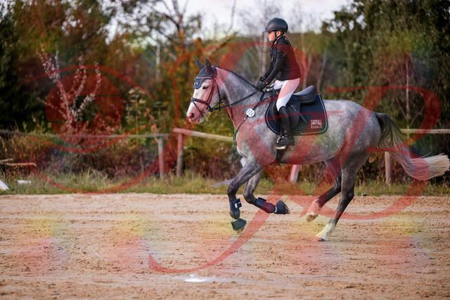 2026_10_03_Siefer-Hof_145127_Z81_30255102 | Professionelle Reitsport-, Turnier- und Eventfotografie von Robert Broda. Galerien mit ausgewählten und bearbeiteten Bildern direkt online ansehen und bestellen.