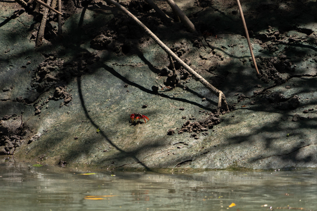 20251114-DeltaTour-0022 | paulependelt - Realisiert mit Pictrs.com