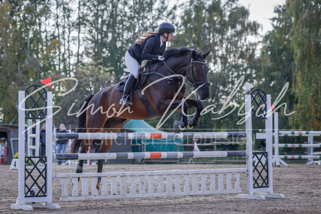 20251012-_3LI5633 | Tierfotografie Pferde, Hunde, Katzen, Haustiere.
Turnierfotografie Reitturniere, Reiten, Springreiten, Dressur in Hanau, dem Main-Kinzig-Kreis und dem Rhein-Main- Gebiet um Frankfurt