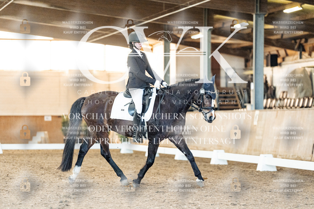 CK906956 | Turnierfotografie Pferdefotografie Trier Rheinland-Pfalz Pferdesport Reitsport Tierfotografie Sportfotografie Pferdevideo Pferdevideografie Equestrianvideography equestrianphotography  - Realized with Pictrs.com