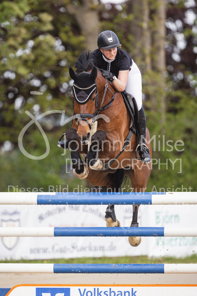 260503_Spenge_7_M2-Spr-m-steig-Anf-709 | Deine schönsten Turniermomente als professionelle Fotos! Entdecke hochwertige Pferdesport-Fotografie im Online-Shop. Jetzt Fotos finden & bestellen!