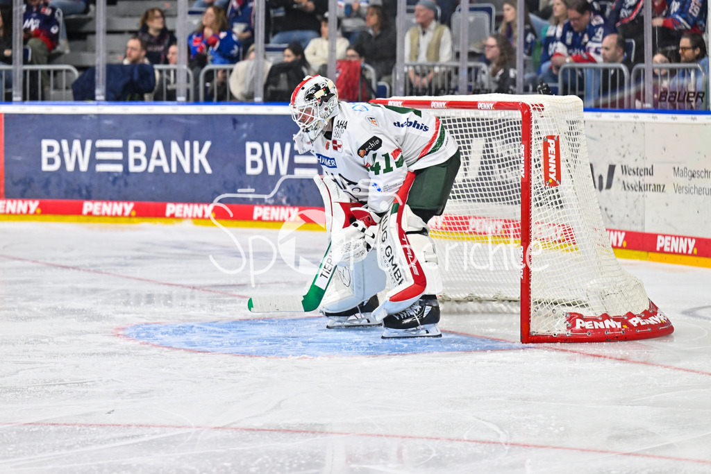 Adler Mannheim - Augsburger Panther | MANNHEIM, DEUTSCHLAND - 25. FEBRUAR: im Bild Peyton JONES (Augsburger Panther 41) / Einzelfoto / Freisteller während dem Match zwischen den Adler Mannheim und den Augsburger Panthern am 45. Spieltag der Penny DEL in der SAP Arena