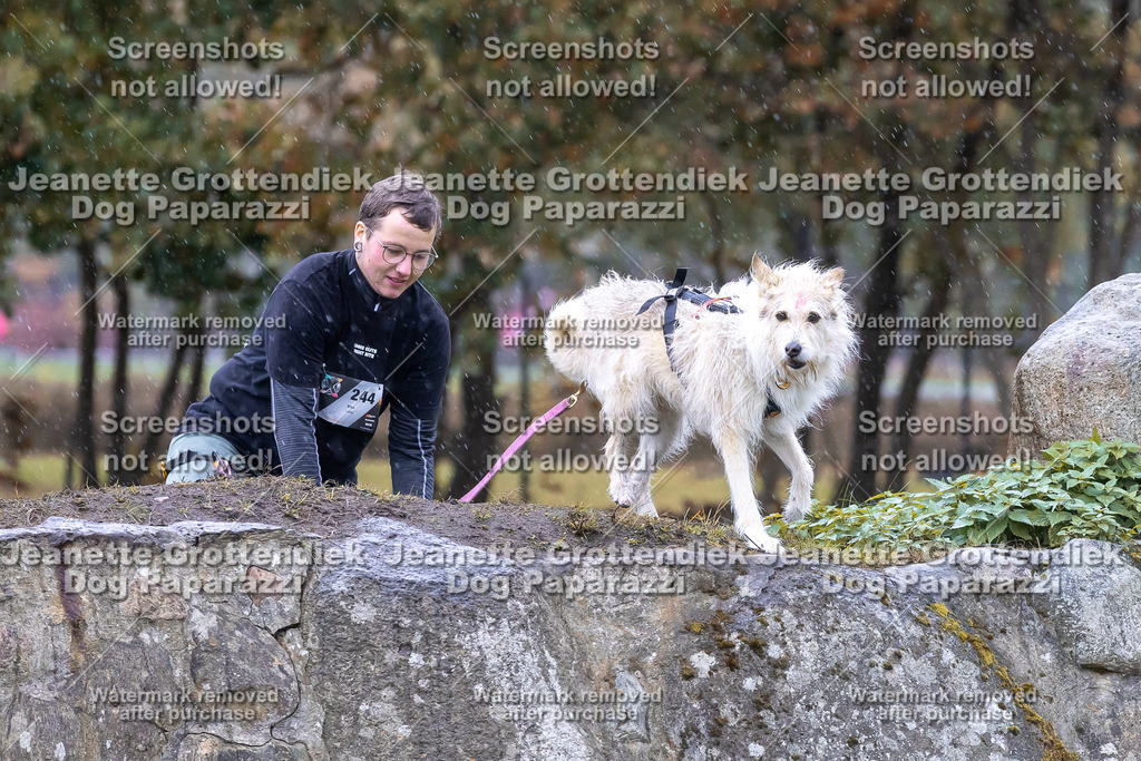 Dog Paparazzi - SD CaniX Championship 2025-718 | Dog Paparazzi Jeanette Grottendiek Fotografie & Videografie - Realisiert mit Pictrs.com