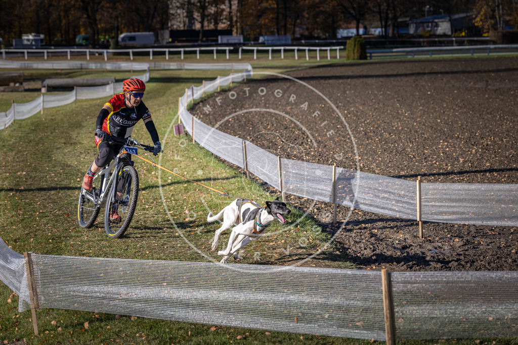 CaniXpix_DV3A4955 | Hundefotografie, Tierfotograf, Pfotenfotografie, Fotoshooting Hund, Hunde Portrait, Hundesport, Hundeportraits, Heideshooting, Hunde, Sportfotograf, Hundefotograf, Turnierhundsport, THS,  - Realisiert mit Pictrs.com
