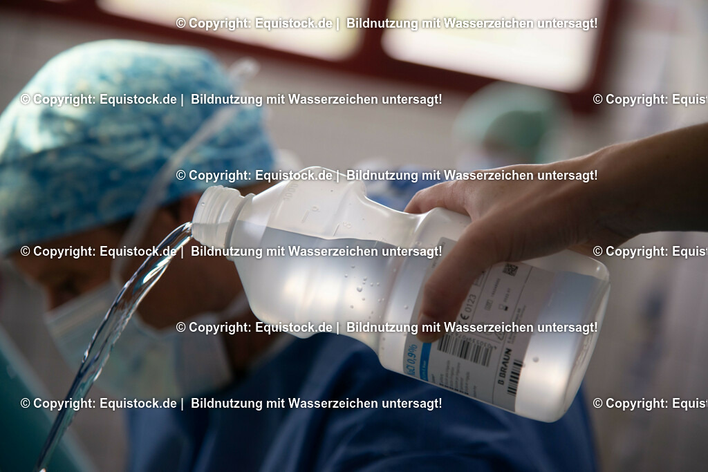 20191022_Kolik_OP_0065 | equistock