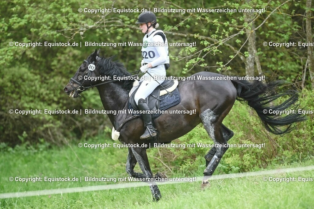 20230513_CCI2_Section2_Gelände_0252 | equistock