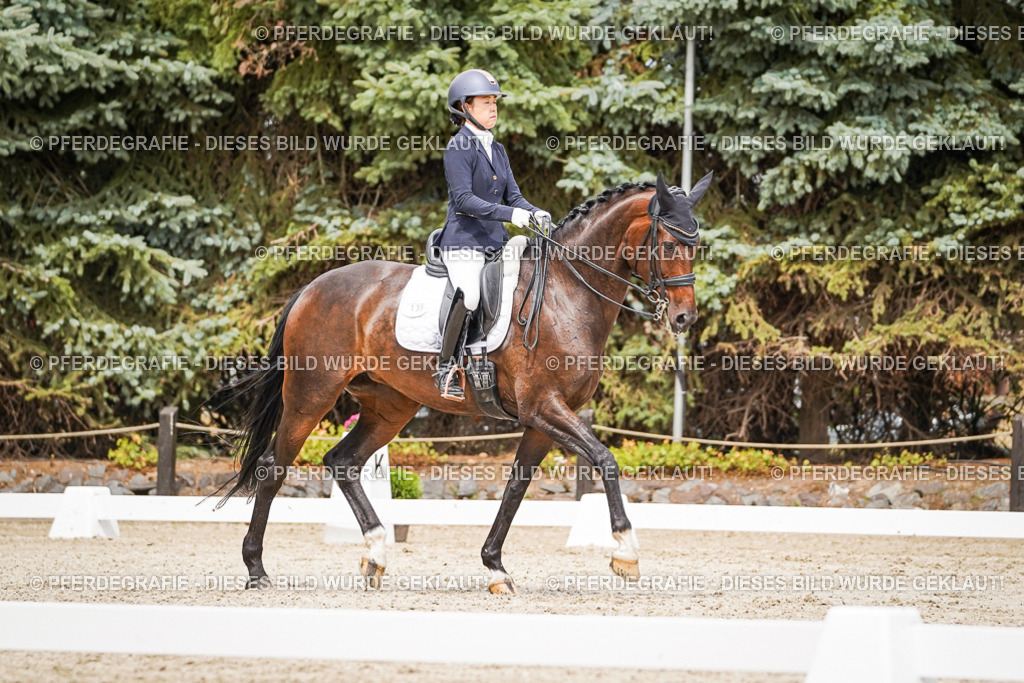 DSC05621 | Pferdegrafie