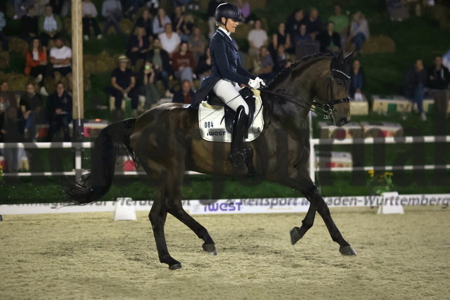 Birkhof_2024_Prfg.Nr.05_Qualifikation_iWest-Cup_Carina Harnisch_FBW Francis (7) | Alle Fotos der Reiterjournal Fotografin Doris Matthaes im Reiterjournal Online-Fotoshop. - Realisiert mit Pictrs.com