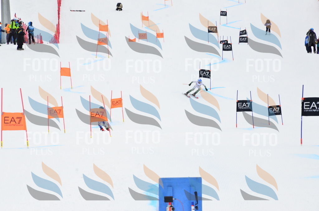 _ELE3905 | holidayphoto