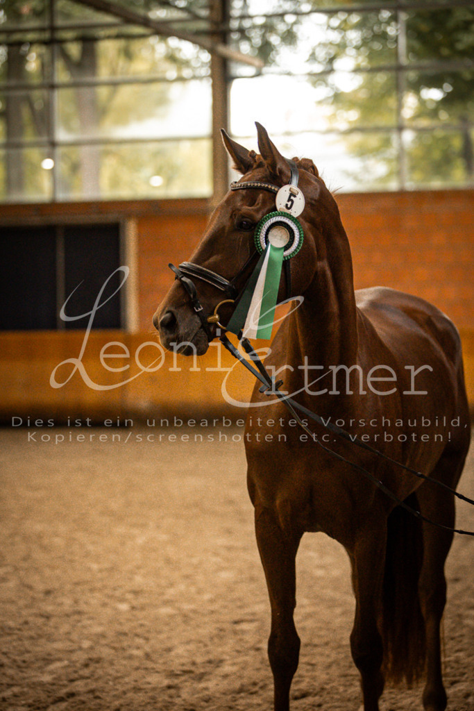 1Schritt00026 | Leoni Ertmer Photography - Realisiert mit Pictrs.com
