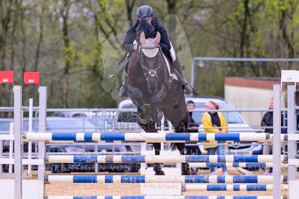 10042026-Mammendorf-Prfg19-0446 | Fokus Hufschlag Fotografie - Realisiert mit Pictrs.com