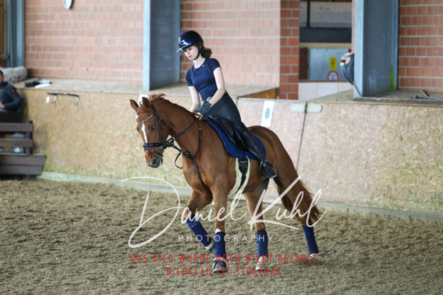 DKP42773 | Turniersportfotografie; Pferdefotografie; Dressurfotografie