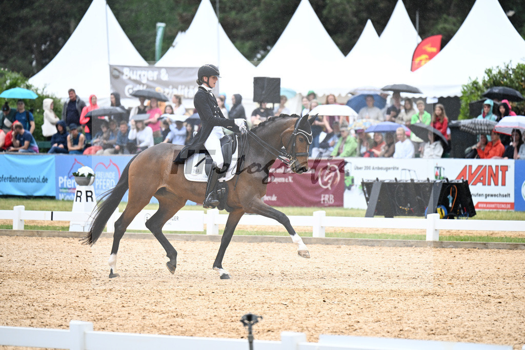 Hergenroeder_Sunny Day_11256087 | hf-fotografie - Realisiert mit Pictrs.com