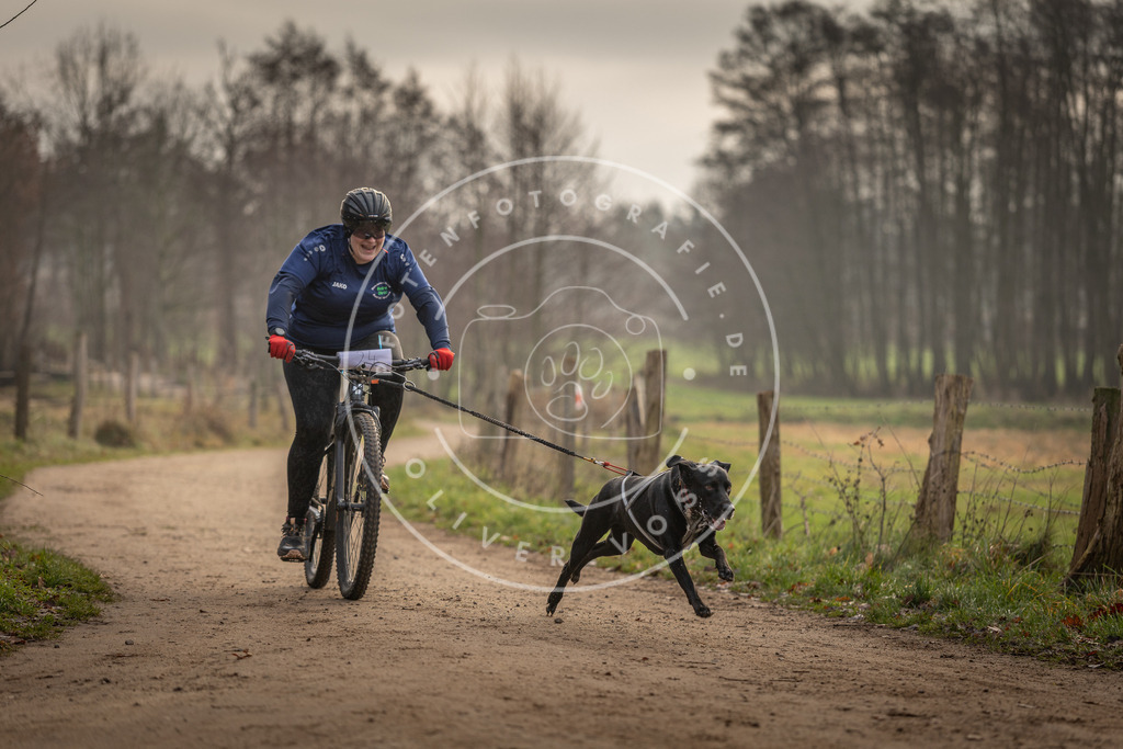 Pfotenfotografie_DV3A2028 | Hundefotografie, Tierfotograf, Pfotenfotografie, Fotoshooting Hund, Hunde Portrait, Hundesport, Hundeportraits, Heideshooting, Hunde, Sportfotograf, Hundefotograf, Turnierhundsport, THS,  - Realisiert mit Pictrs.com