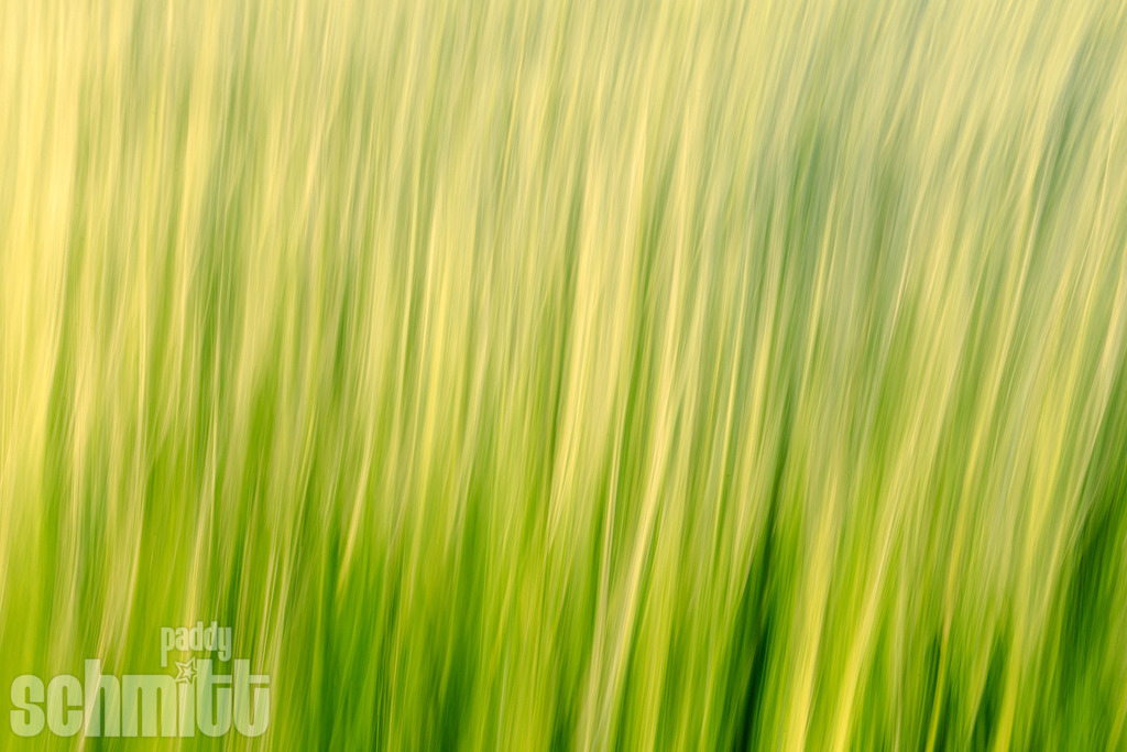 PS-Blur-2026-19 | Entdecke die größte Bildgalerie der Region mit Fotografien aus dem Allgäu, der Bodenseeregion, Oberschwaben, dem Donautal und der Schwäbischen Alb. Landschaften, Luftaufnahmen und Reisefotografie als Wandbild und Fotokunst. - Realisiert mit Pictrs.com