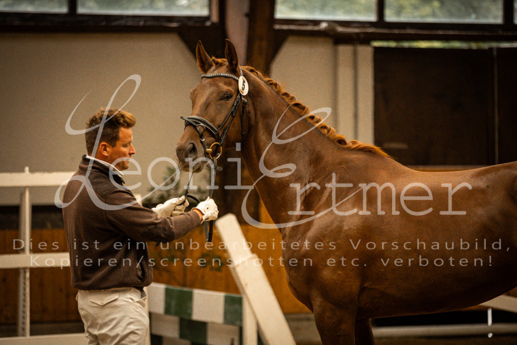 1FS_L00086 | Leoni Ertmer Photography - Realisiert mit Pictrs.com