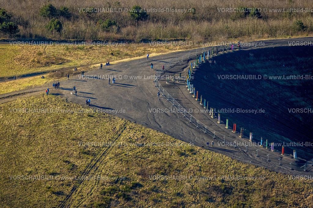 Bottrop240107652 | Luftbild, Halde Haniel, Totems von AgustÃ­n Ibarrola Skulptur Stelen, Fuhlenbrock, Bottrop, Ruhrgebiet, Nordrhein-Westfalen, Deutschland