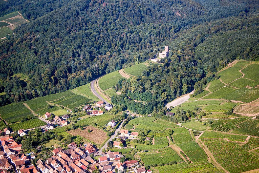 Aerial view: Castle complex of the Château de Kintzheim in Kintzheim in the state Bas-Rhin, France. – Photo: IMG_093290.jpg taken on 08/16/2016 by Werner Riehm/FLY-FOTO.com – Resolution of the original: 5472 x 3648 px