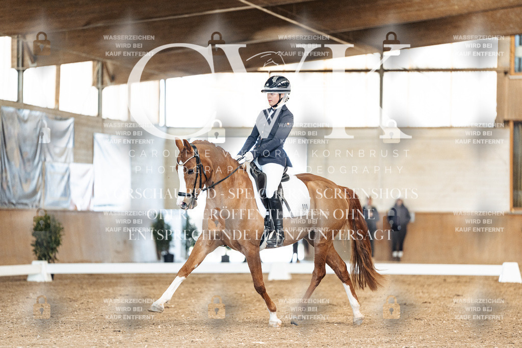 CK900750 | Turnierfotografie Pferdefotografie Trier Rheinland-Pfalz Pferdesport Reitsport Tierfotografie Sportfotografie Pferdevideo Pferdevideografie Equestrianvideography equestrianphotography  - Realisiert mit Pictrs.com