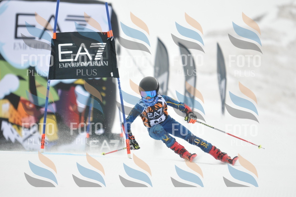 DSC_8002 | holidayphoto