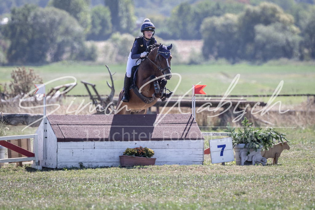 20260906-_3LI3726 | Tierfotografie Pferde, Hunde, Katzen, Haustiere.
Turnierfotografie Reitturniere, Reiten, Springreiten, Dressur in Hanau, dem Main-Kinzig-Kreis und dem Rhein-Main- Gebiet um Frankfurt