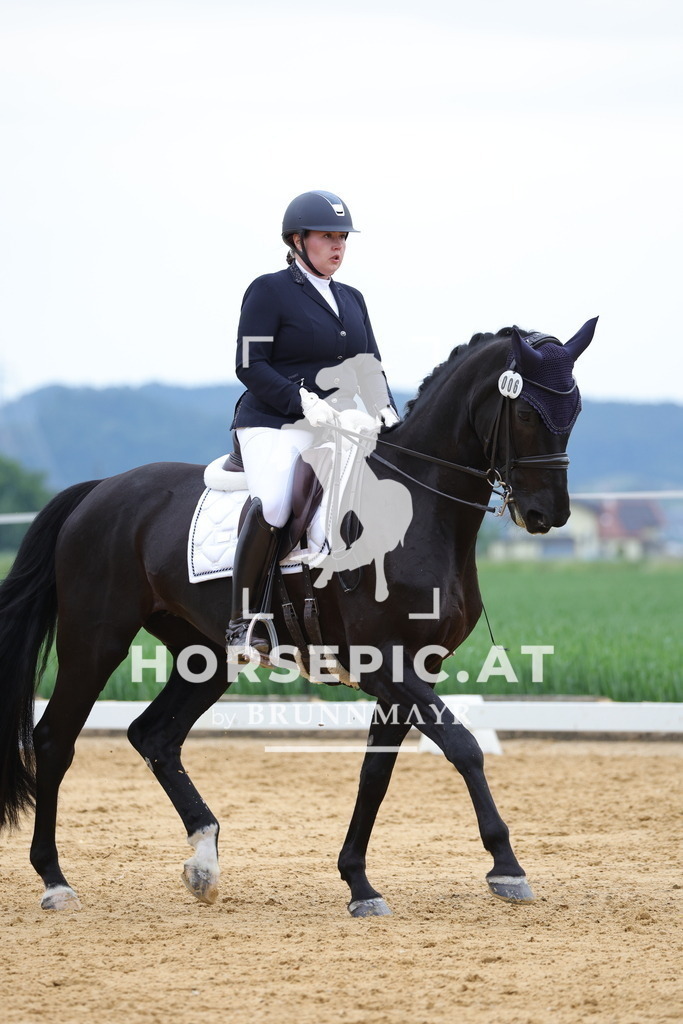 0P6A4641 | Willkommen bei Brunnmayr - Design & Fotografie – Ihrem Spezialisten für Reitturniere und Pferdeveranstaltungen in Oberösterreich, Salzburg und Bayern! Seit über 17 Jahren sind wir leidenschaftlich dabei.