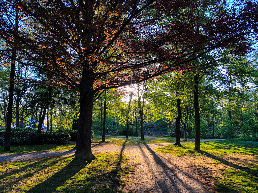 Herbstliches Lichtspiel im Park | Das stimmungsvolle Bild fängt den Zauber eines klaren Frühherbstabends in einem Park ein. Ein markanter Baum mit herbstlich gefärbtem Laub in tiefen Kupfer- und Brauntönen steht im Mittelpunkt, während die tief stehende Sonne durch das Blätterdach bricht. Ihre warmen, goldenen Strahlen erzeugen lange, dramatische Schatten auf den verschlungenen Wegen und der Wiese. Die kühle Luft mischt sich mit dem warmen Licht, und verstreute Herbstblätter auf dem Boden deuten den Beginn der Jahreszeit an. Die Szenerie strahlt Ruhe und die melancholische Schönheit des Wandels aus. - Realisiert mit Pictrs.com