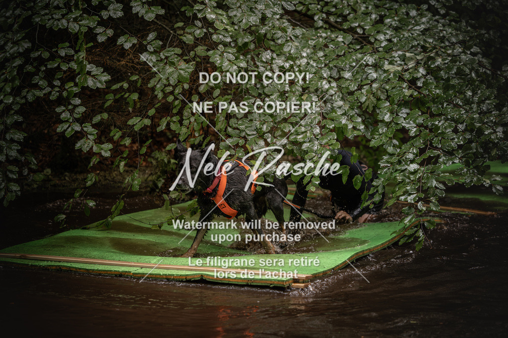 nelerasche_Wingst_Sa1330-1400_286 | nelerasche