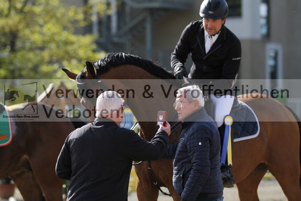 _MG_3452 | equestrian-live-com