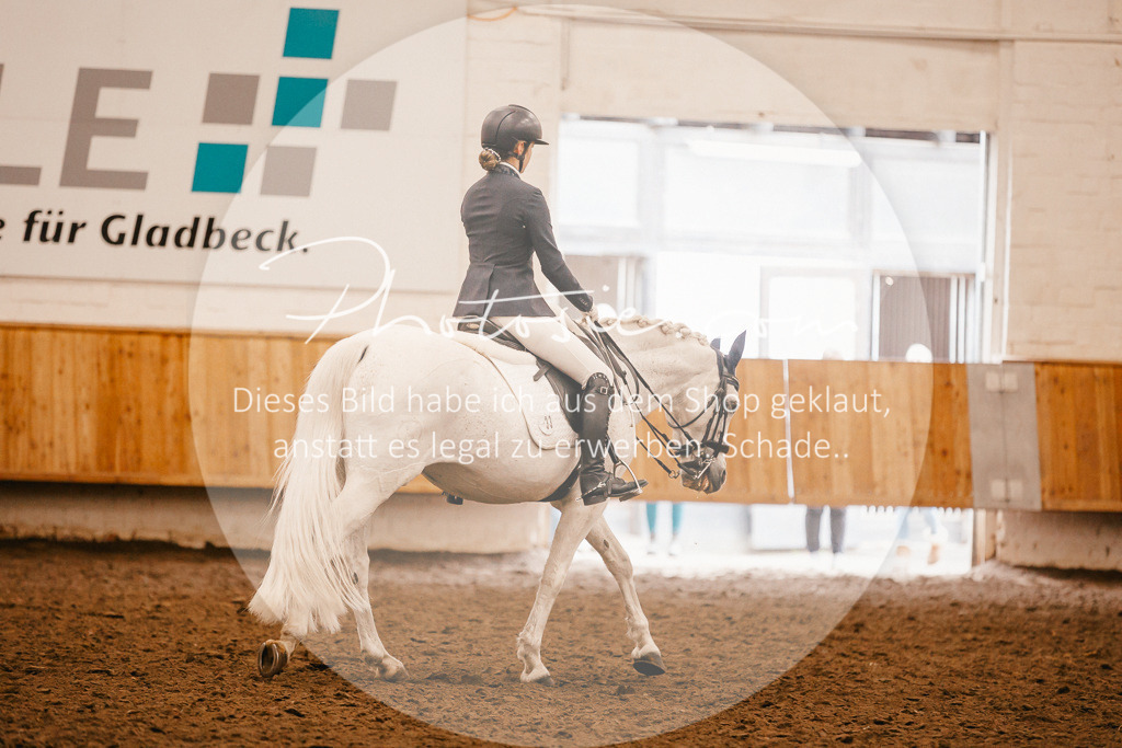 3I6A2576 | Stimmungsvolle Portraits und Reitsportfotografie im Ruhrgebiet und im Münsterland.

Pferdefotografie, Hundefotografie, Tierfotografie, Reportagen, Portraits von Tier und Mensch, Turnierfotografie in Bochum, Recklinghausen, Marl, Haltern am See, Dülmen.. - Realisiert mit Pictrs.com