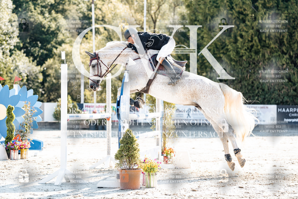 CK901981 | Turnierfotografie Pferdefotografie Trier Rheinland-Pfalz Pferdesport Reitsport Tierfotografie Sportfotografie Pferdevideo Pferdevideografie Equestrianvideography equestrianphotography  - Realisiert mit Pictrs.com