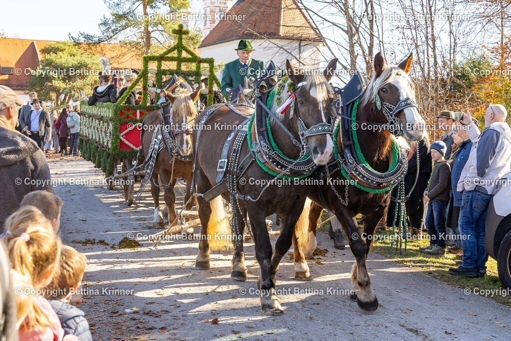 LBT25-1021 | foto-bettina-krinner - Realisiert mit Pictrs.com