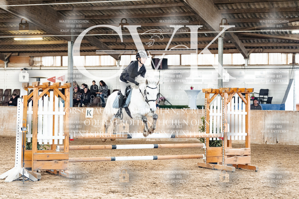 CK904818 | Turnierfotografie Pferdefotografie Trier Rheinland-Pfalz Pferdesport Reitsport Tierfotografie Sportfotografie Pferdevideo Pferdevideografie Equestrianvideography equestrianphotography  - Realisiert mit Pictrs.com