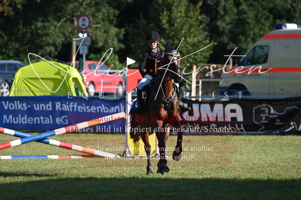 DSC_4754 | Pferde- und Turnierfotografie in Westsachsen. Pferdeportraits, Auftragszeichnungen und intuitive Kunst.