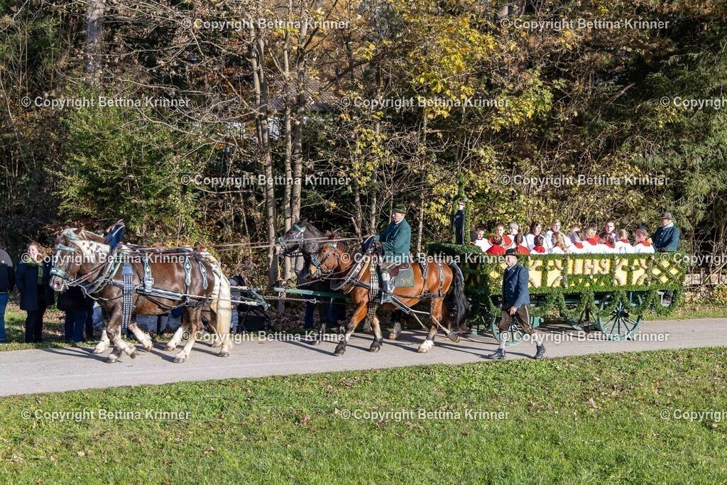 LBT24-36 | foto-bettina-krinner - Realisiert mit Pictrs.com
