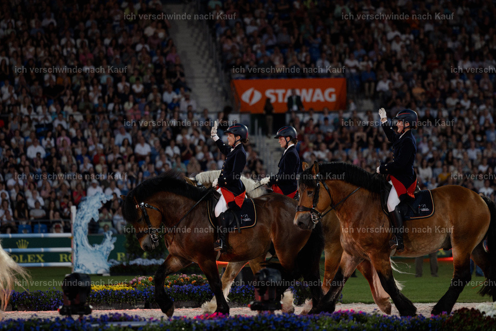TSCHIO26_PferdundSinfonie_StoibphotographyTSCHIO26_Pferd-Sinfonie_Stoibphotography_AM11523.CR3.jpg | working equitationturnier fotograf videograf stoibphotography marixx film working equitation deutschland reitsport turnierfotografie eventfotografie equestrian events
