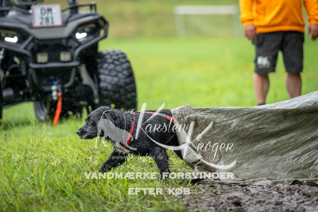 0947_ZZ91668 | kk-dogfotos