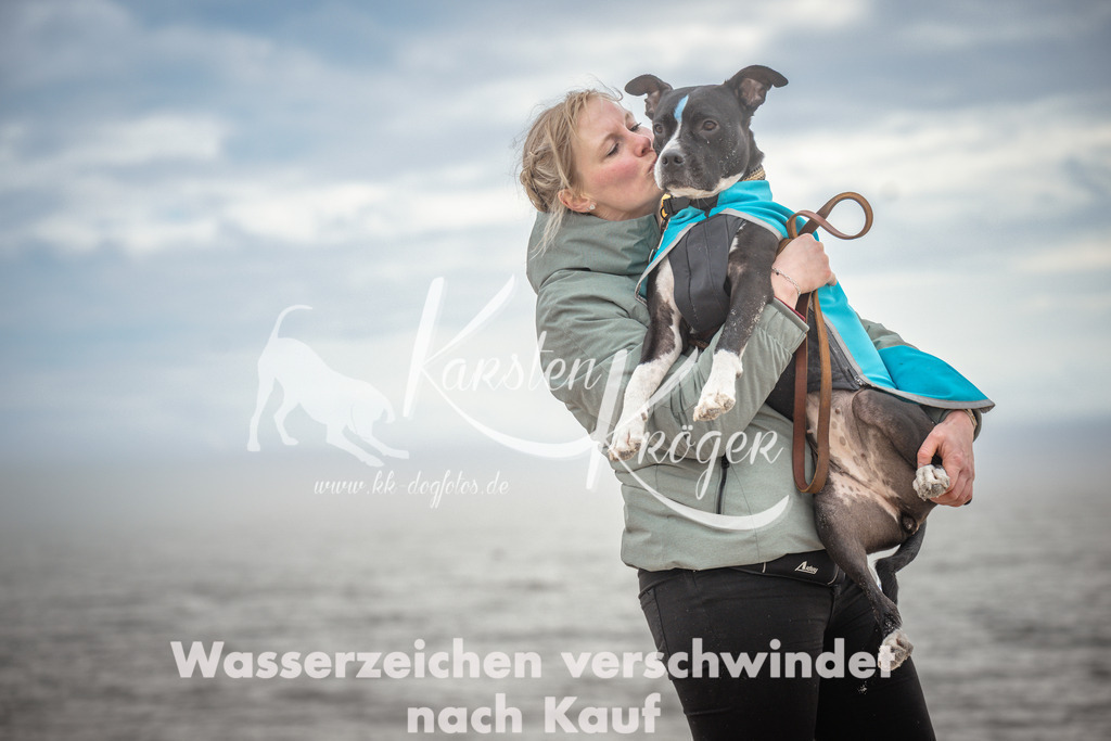 1149_ZZ91824 | kk-dogfotos