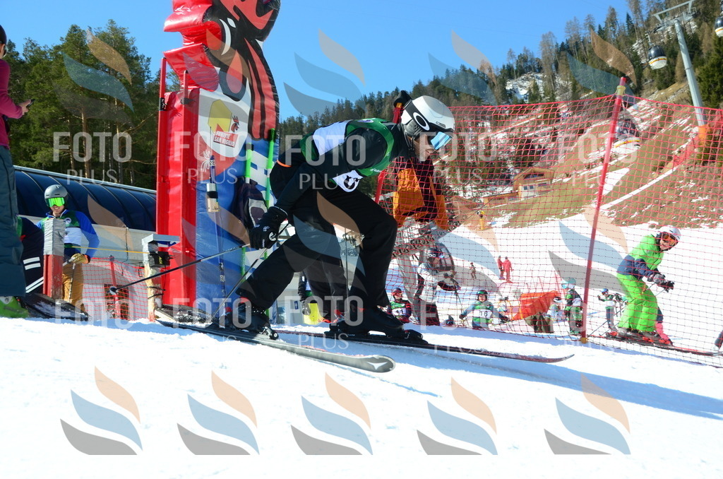 C6674 | holidayphoto