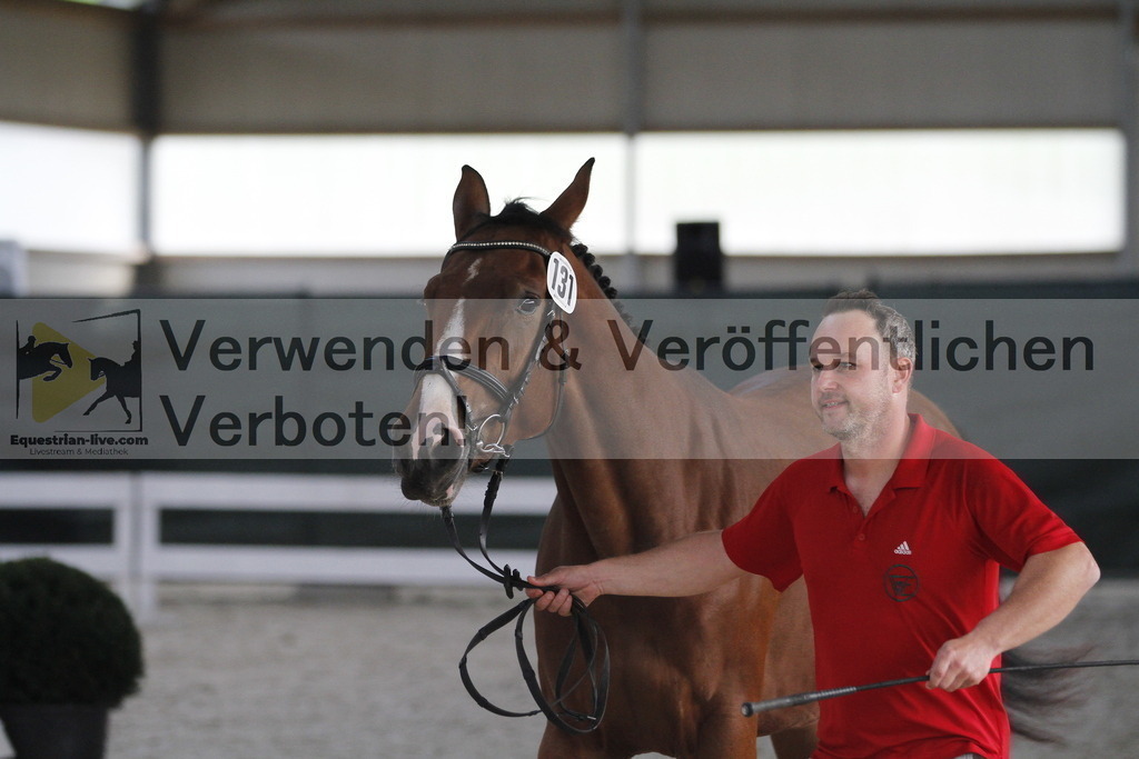 _MG_0801 | equestrian-live-com